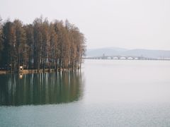 -东湖落雁景区
