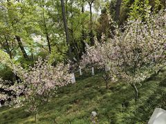 -幕燕滨江·燕子矶公园