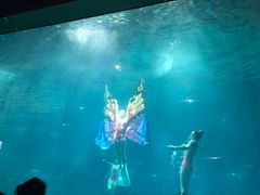 -福州罗源湾海洋世界旅游区