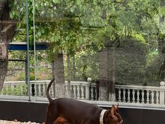 -J Create城市露营咖啡·简餐·宠物(上海动物园店)