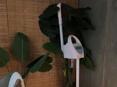 -施奈儿.洗头頭療.按摩SPA.采耳(上梅林店)