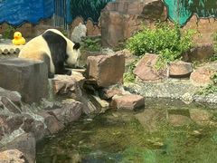 -苏州太湖国家湿地公园