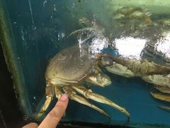 -马王堆海鲜水产市场