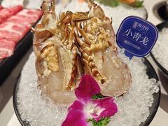 -海月轩海鲜豆捞(紫金塔店)