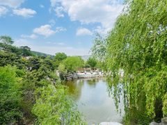 -北京西山国家森林公园