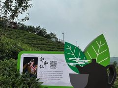 -长沙黑麋峰国家森林公园