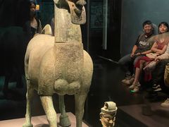 -广西壮族自治区博物馆