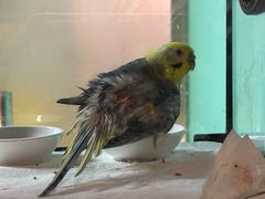 -雨林宠物医院 非犬猫异宠专科