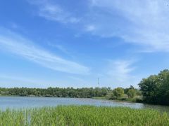 -溱湖国家湿地公园