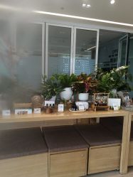 -dōTERRA多特瑞精油生活馆