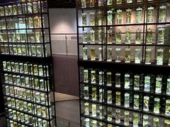 -广东中医药博物馆