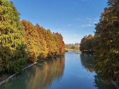 -上海海湾国家森林公园