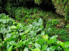 -海口火山口国家地质公园