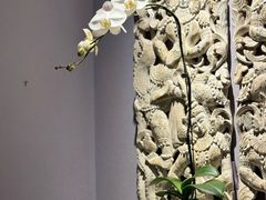 -拾花记花艺·求婚·订婚·生日布置(高新店)