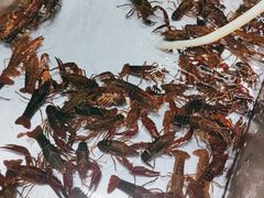 -拙味兄弟龙虾(新香洲店)