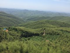 -蔡伦竹海