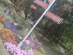 -人民公园(罗湖区)