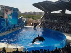 -上海海昌海洋公园