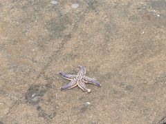 -东戴河风景区-止锚湾