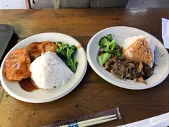 -广州长隆飞鸟乐园