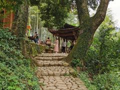 -杨家堂村