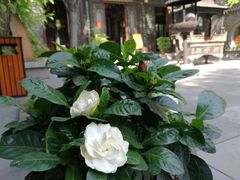 -湘子庙