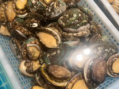 -大连中远海运洲际酒店