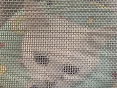 -半岛宠物医院24小时(西派城店)