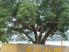 -东江厨岸（惠州味道）(江畔花园店)