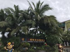 -呀诺达热带雨林