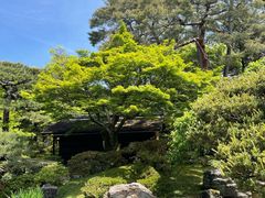 -京都御所