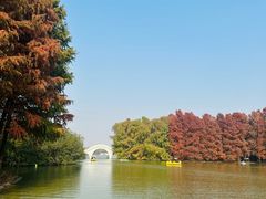 -上海海湾国家森林公园