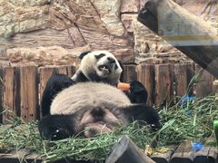 -石家庄市动物园