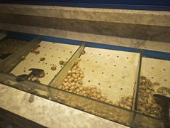 -火锅岛潮牌自助餐厅(天津天佑城店)