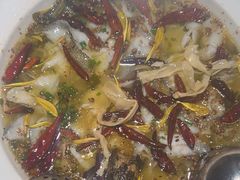 -太二酸菜鱼(石家庄万象城店)