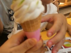 -王守财小山園