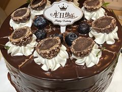 -维尔纳斯·生日蛋糕动物奶油冰淇淋蛋糕(人大店)