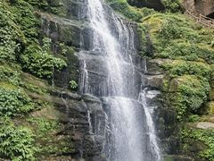 -碧峰峡风景区