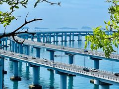 -星海湾跨海大桥