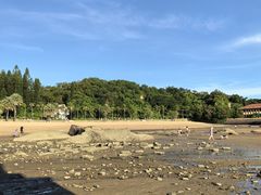-鼓浪屿内厝澳码头(轮渡站)