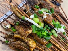 -晓靖轩烧烤(沙河风情店)