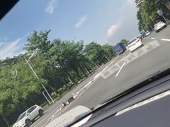 -上南瓦煲鸡·清远鸡·老字号(总店)