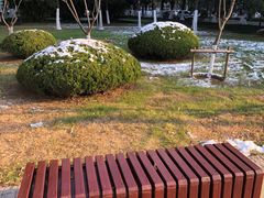 -天鹅湖体育公园