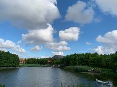 -上海长兴岛郊野公园