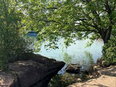 -宜兴龙背山森林公园