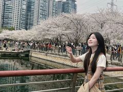 -西北湖绿化广场