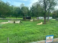 -秦皇岛野生动物园