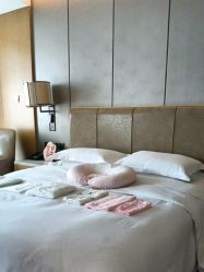 -大美母婴月子中心(希尔顿店)
