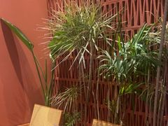 -LANN I 蘭·泰式古法按摩(上海湖滨道店)