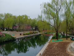 -元大都城垣遗址公园